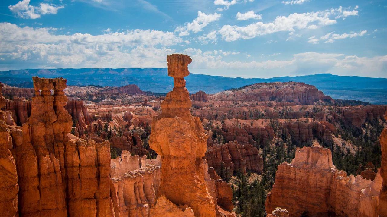 Photographer Booking Funnel: Bio Page + QR + WhatsApp CTA